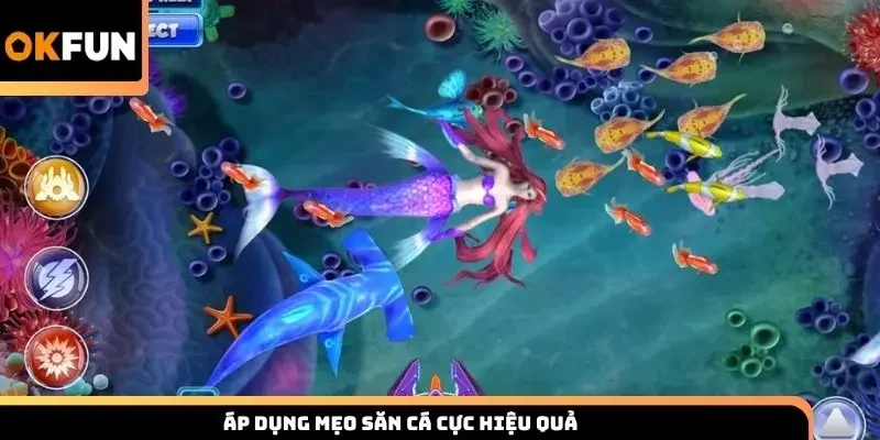 Áp dụng mẹo săn cá cực hiệu quả