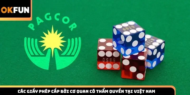 Các giấy phép cấp bởi cơ quan có thẩm quyền tại Việt Nam