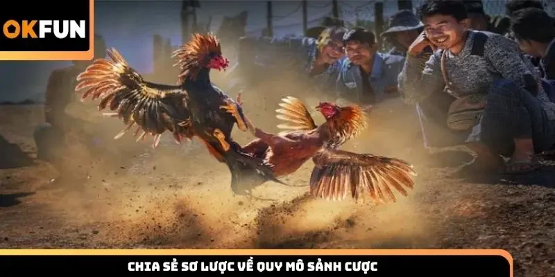 Chia sẻ sơ lược về quy mô sảnh cược