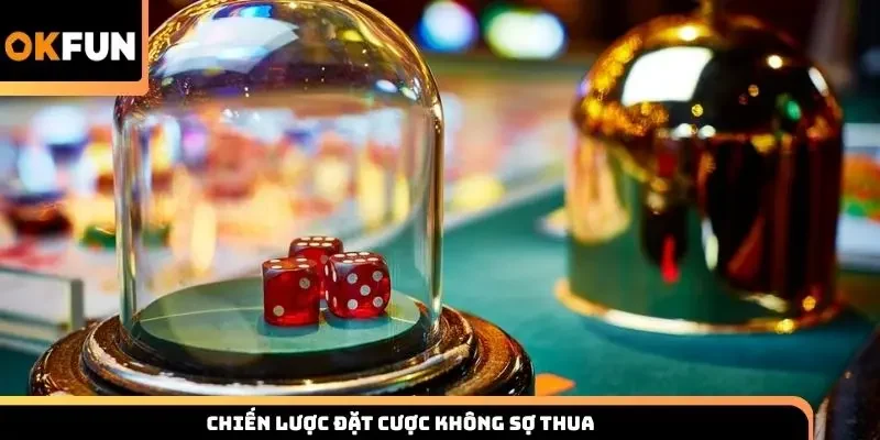 Chiến lược đặt cược không sợ thua