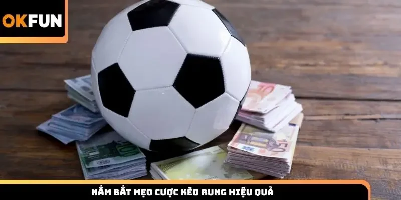 Nắm bắt mẹo cược kèo rung hiệu quả